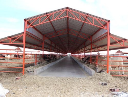 WhatsApp Image 2020-07-07 at 1.00.13 AM (2)